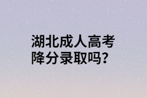 湖北成人高考会降分录取吗？