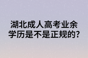 湖北成人高考业余学历是不是正规的?