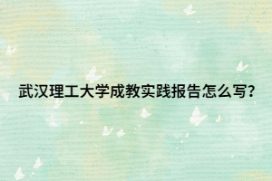 武汉理工大学成教实践报告怎么写？
