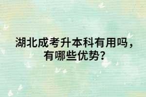湖北成考升本科有用吗，有哪些优势？