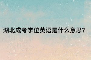 湖北成考学位英语是什么意思？