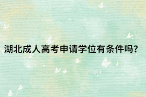 湖北成人高考申请学位有条件吗？