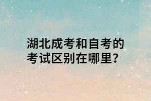 湖北成考和自考的考试区别在哪里？