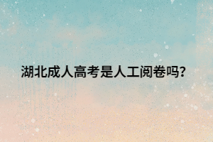 湖北成人高考是人工阅卷吗？