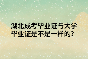 湖北成考毕业证与大学毕业证是不是一样的？