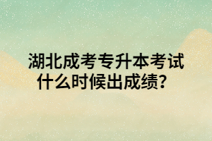 湖北成考专升本考试什么时候出成绩？