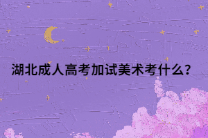 湖北成人高考加试美术考什么？