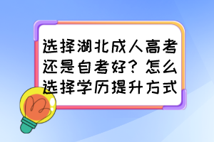 选择湖北成人高考还是自考好？怎么选择学历提升方式？