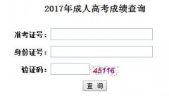 武汉大学2017年成人高考成绩什么时候可以查询？