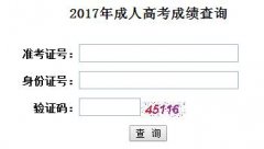 2017年长江大学成人高考成绩查询入口