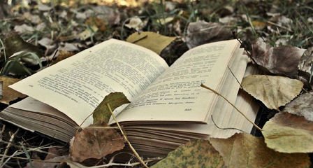 湖北成考大专文凭有用吗湖北成考是全日制的吗？