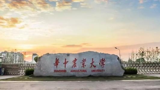 华中农业大学成教报名手续怎么办理？