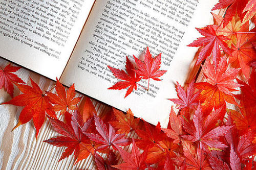 2019年湖北恩施成人高考报考需要具备哪些条件？