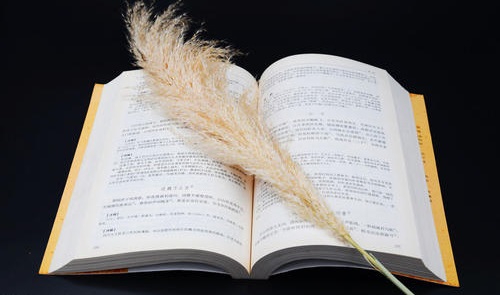 湖北成人高考文凭社会上认可吗？