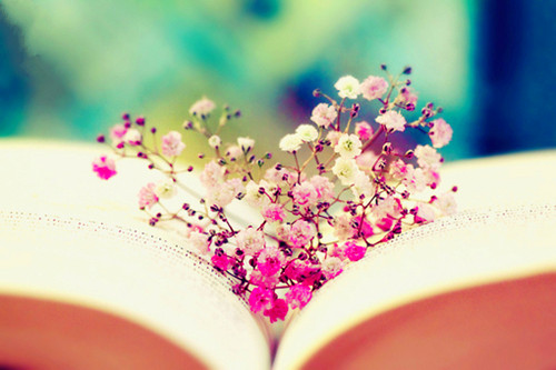 2019年湖北成人高考成绩查询的步骤是什么？