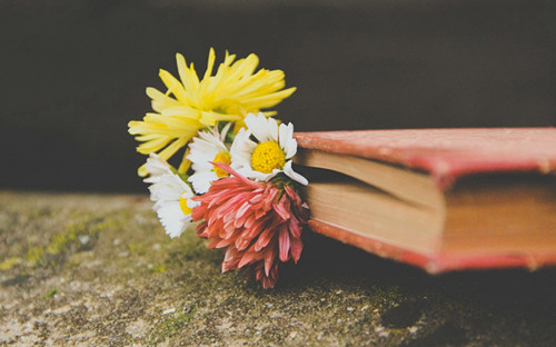 湖北成人高考比普通高考要差吗？