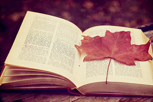 没有大专学历文凭可以报考湖北成考专升本吗？