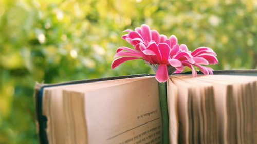 湖北成人高考有什么误区？