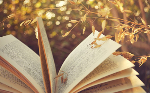 报考湖北成考是先考试还是先选学校？