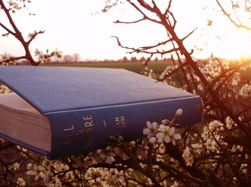 2019年湖北成人高考报名费能退吗？  