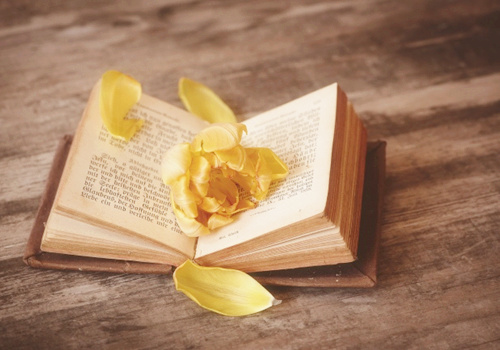 湖北成人高考有补考的机会吗？