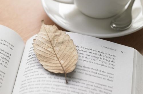 湖北成人高考考生现场信息确认时应带什么证件？