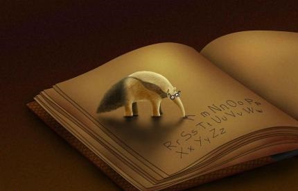 湖北成人高考能报考英语四级吗？