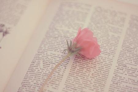 2019年湖北成人高考适合哪些人参加？