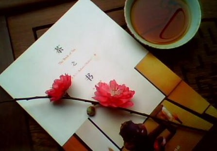 湖北成人高考大专哪些专业比较好考？