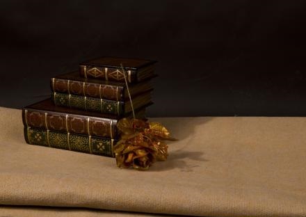 在校生报考湖北成考的话学习时间多吗？