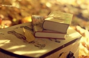 湖北成人高考在学信网上可以查询到毕业文凭吗？