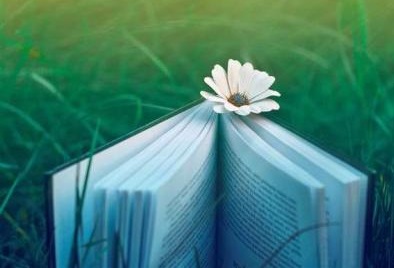 2019年湖北成人高考答题卡书写规范要求