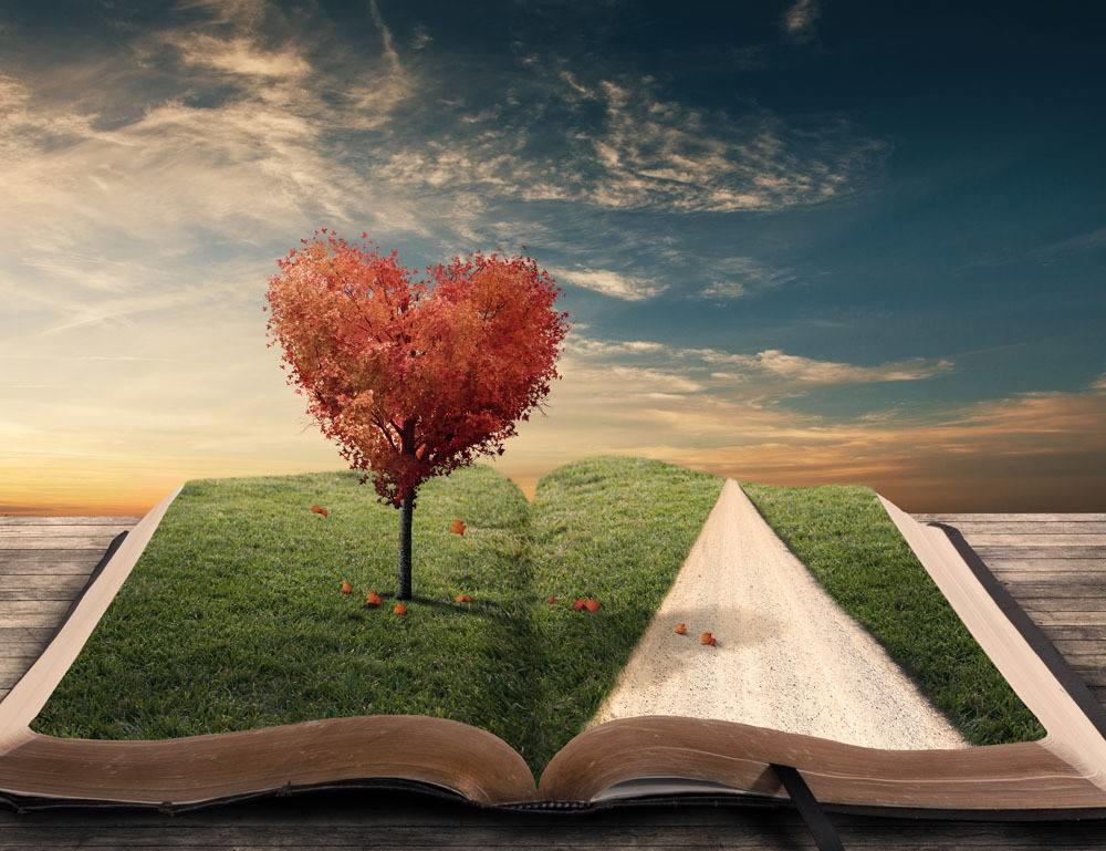 2019年武汉纺织大学成教网上报名及现场确认时间