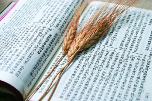 2019年江汉大学成教网上报名及现场确认时间