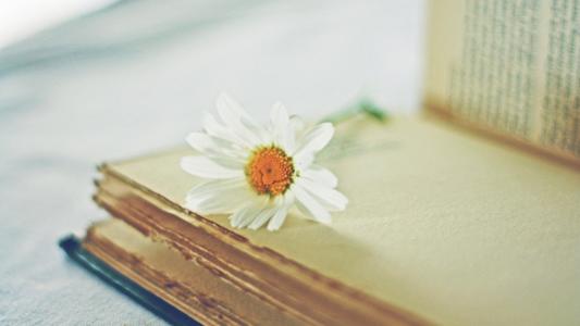 2019年荆楚理工学院成人高考准考证打印时间及注意事项