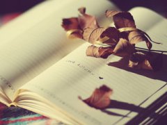 2019年湖北成人高考考试时间是什么时候 该如何备考?