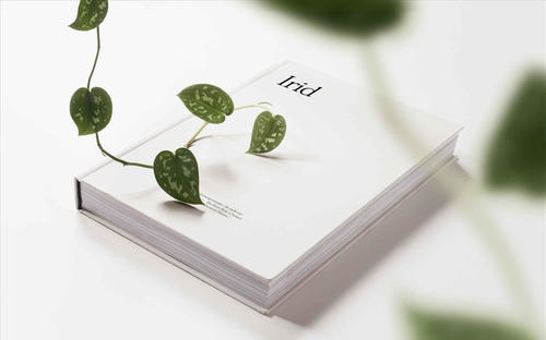 湖北成人高考考试系统有什么用?