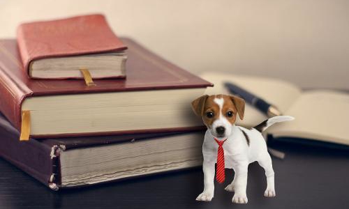 2019湖北成考录取分数线常见问答汇总