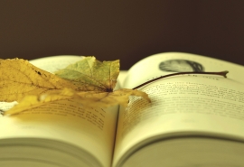 湖北成考专升本数学复习技巧