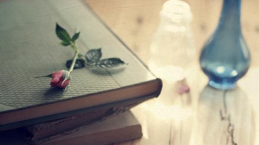 湖北成人高考专升本民法考试难不难?