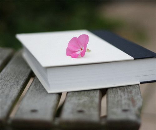 2020年湖北成考备考复习技巧有哪些?