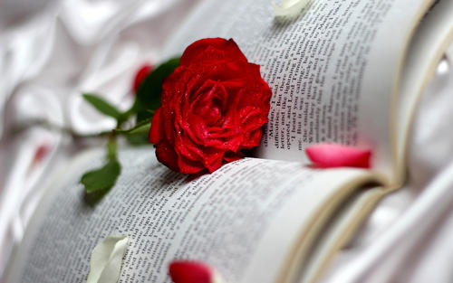 2020年湖北成考费用收取按年还是一次付清?