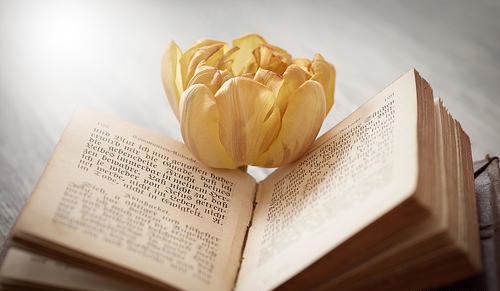 湖北成考加分投档是什么意思?