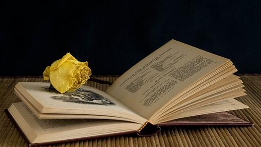 湖北成人高考复习方法有哪些?