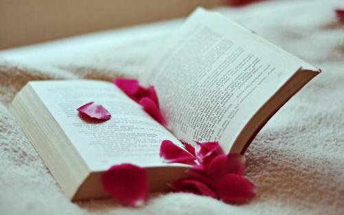 湖北工业大学成教录取结果怎么查?