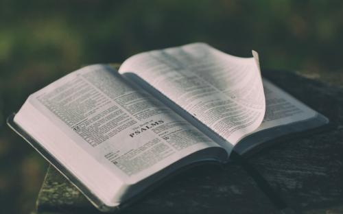 2020年恩施成考现场确认具体流程有哪些?