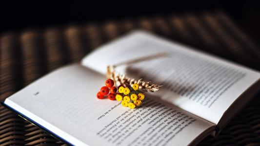 湖北成考有哪些学校可以报名呢?