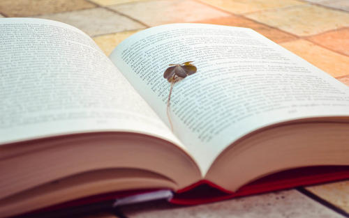 武汉轻工大学成教学费的收取标准是多少?