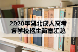 <b>2020年湖北成人高考各院校招生简章汇总（更新中）</b>