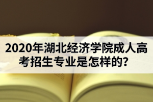 2020年湖北经济学院成人高考招生专业是怎样的？